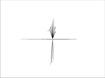 vetiver1